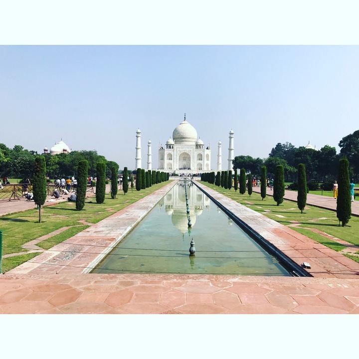 タイガーモブ株式会社のプレスリリース画像2