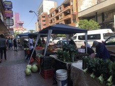 タイガーモブ株式会社のプレスリリース画像4