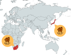 タイガーモブ株式会社のプレスリリース画像3
