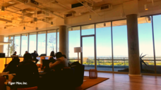 タイガーモブ株式会社のプレスリリース画像2