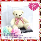 株式会社ドリーム・ワークショップのプレスリリース画像5