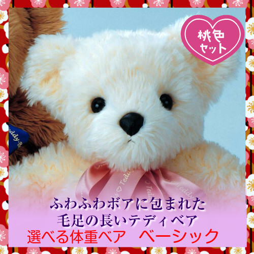 株式会社ドリーム・ワークショップのプレスリリース画像2