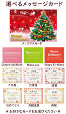 株式会社ドリーム・ワークショップのプレスリリース画像9