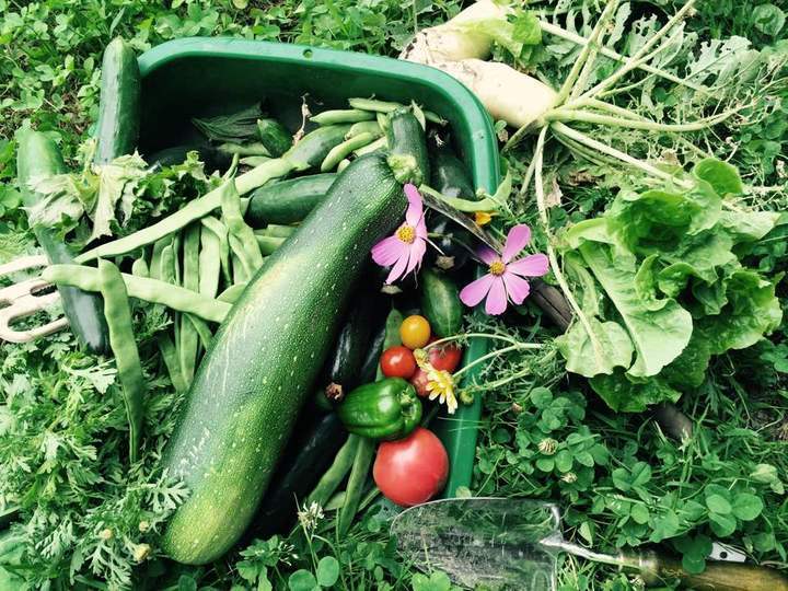 愛の花Musicのプレスリリース画像7