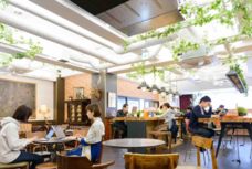 RYOZAN PARK のプレスリリース画像5