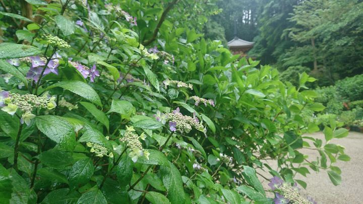 木津川市マチオモイ部観光商工課のプレスリリース画像1