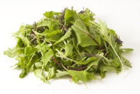 株式会社リンガーハットのプレスリリース画像8