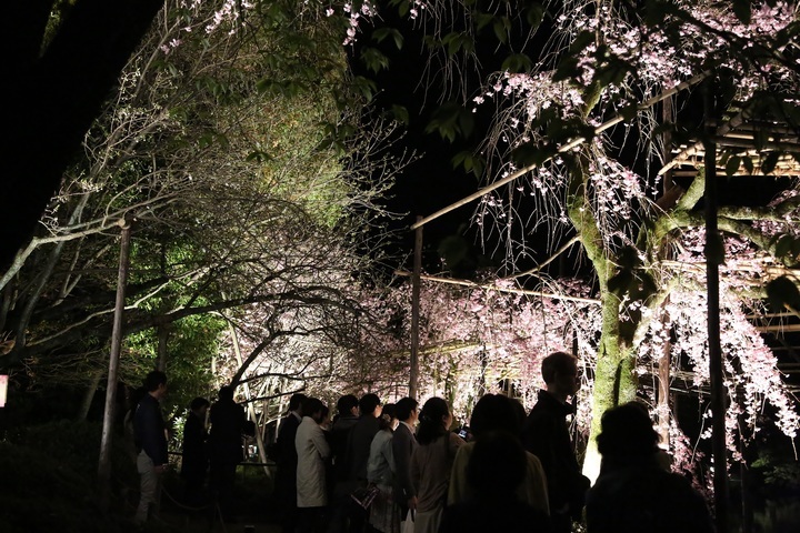 株式会社京都新聞ＣＯＭのプレスリリース画像9