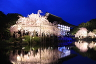 株式会社京都新聞ＣＯＭのプレスリリース画像1