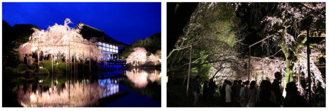 株式会社京都新聞ＣＯＭのプレスリリース画像2