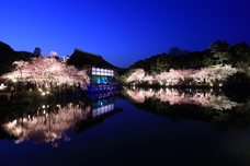 株式会社京都新聞ＣＯＭのプレスリリース