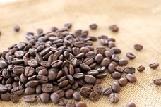 株式会社favyのプレスリリース画像3