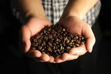 株式会社favyのプレスリリース画像2