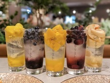 株式会社favyのプレスリリース画像6