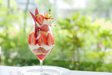 株式会社favyのプレスリリース画像1