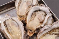 株式会社favyのプレスリリース画像1