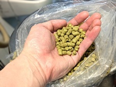 株式会社favyのプレスリリース画像2