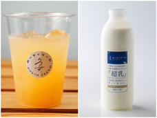 株式会社favyのプレスリリース画像1