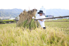 株式会社favyのプレスリリース画像2