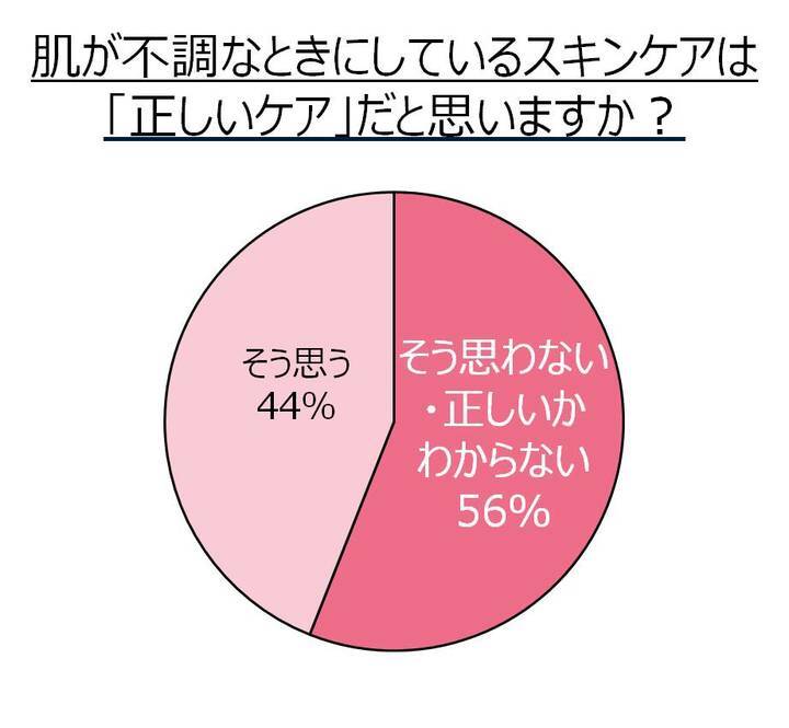 アクセーヌ株式会社のプレスリリース画像6