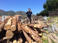 NPO法人バイオマス丹波篠山のプレスリリース画像1