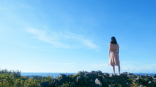 株式会社レイシェルスタジオのプレスリリース画像2