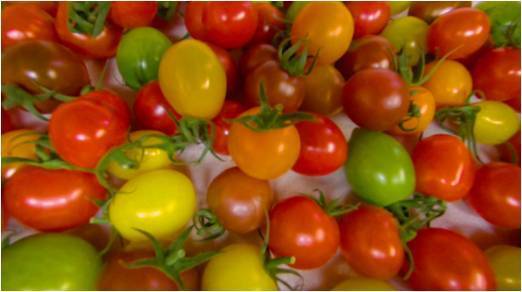 一般財団法人 高知県地産外商公社のプレスリリース画像3