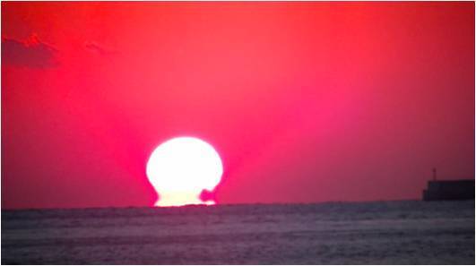 一般財団法人 高知県地産外商公社のプレスリリース画像8