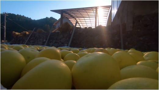 一般財団法人 高知県地産外商公社のプレスリリース画像7