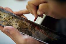 株式会社A・STORYのプレスリリース画像5