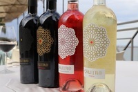 株式会社 Vino Hayashiのプレスリリース