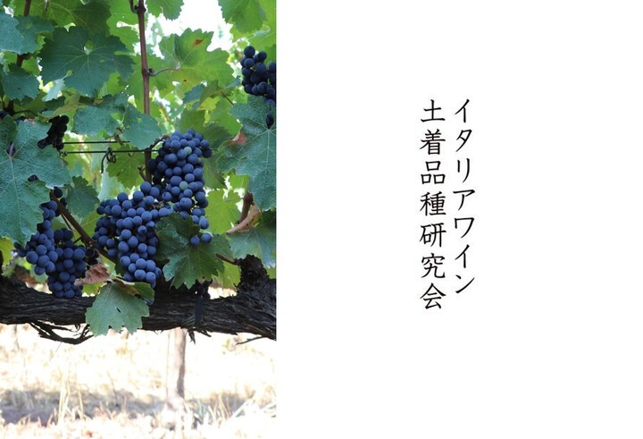 株式会社 Vino Hayashiのプレスリリース画像1