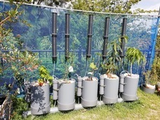 ネイチャーダイン株式会社のプレスリリース画像3