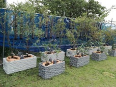 ネイチャーダイン株式会社のプレスリリース画像2