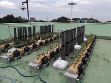 ネイチャーダイン株式会社のプレスリリース画像5