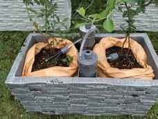 ネイチャーダイン株式会社のプレスリリース画像4