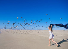 さつきデザイン事務所のプレスリリース