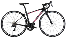 ホダカ株式会社のプレスリリース画像1