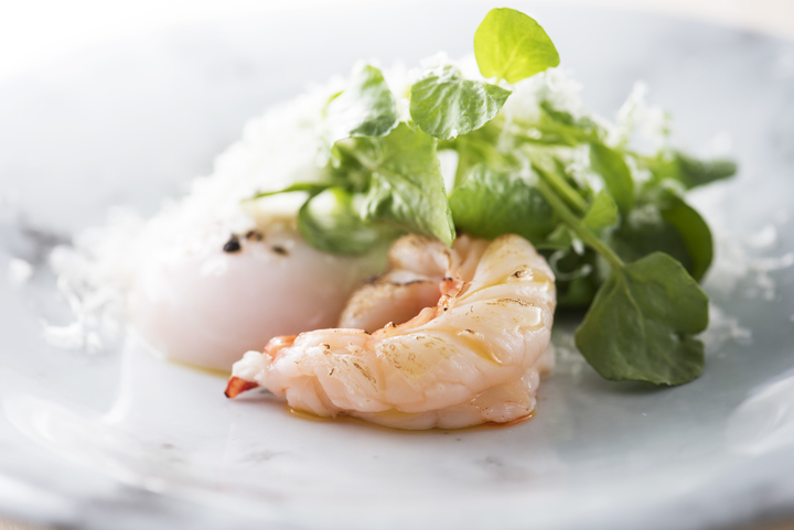 TOYO JAPAN 株式会社のプレスリリース画像9