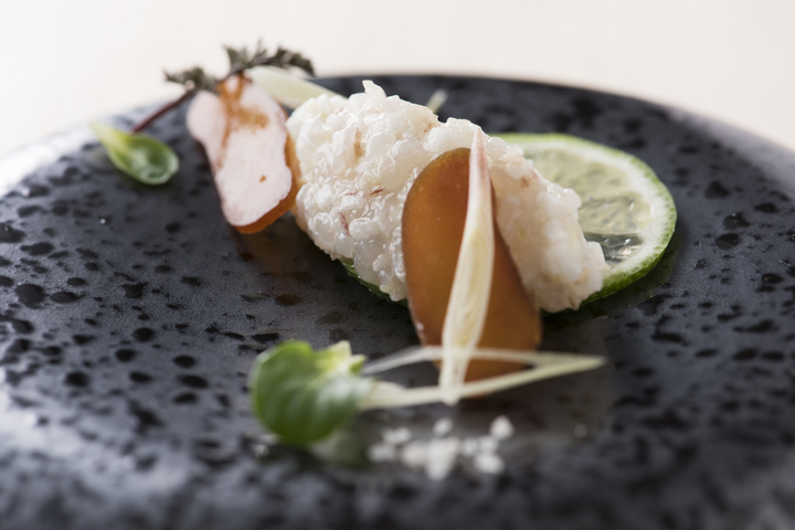 TOYO JAPAN 株式会社のプレスリリース画像10