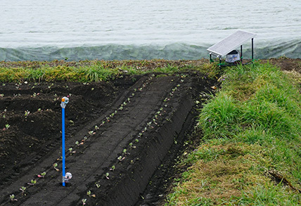 エイムネクスト株式会社のプレスリリース画像1