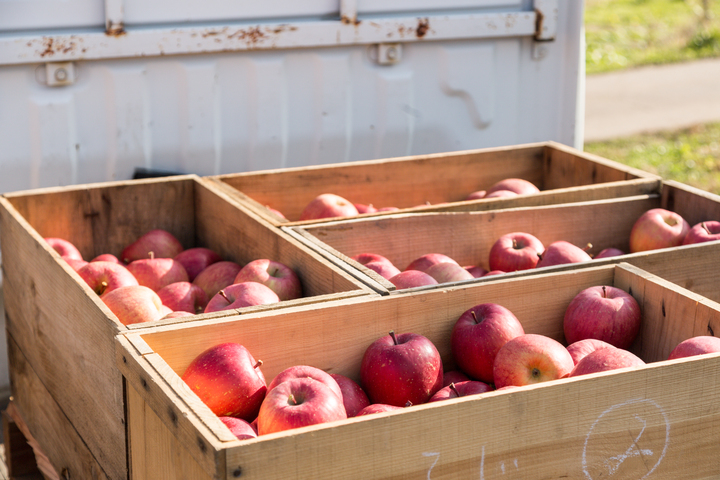 キープレイス株式会社のプレスリリース画像4