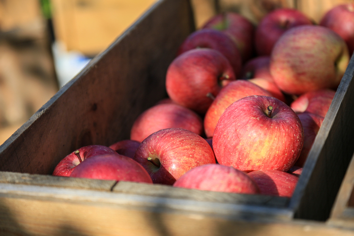 キープレイス株式会社のプレスリリース画像1