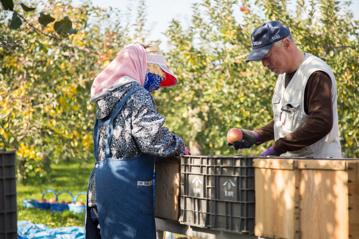 キープレイス株式会社のプレスリリース画像3
