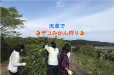 fao agrocommunicationのプレスリリース画像2