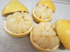 fao agrocommunicationのプレスリリース画像2