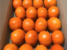 fao agrocommunicationのプレスリリース画像3