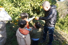 fao agrocommunicationのプレスリリース画像4