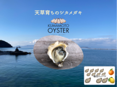 fao agrocommunicationのプレスリリース画像2