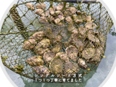 fao agrocommunicationのプレスリリース画像1